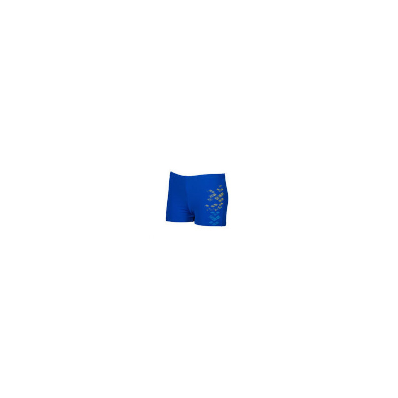 Arena Dongle Long boxer miesten uimashortsit sininen