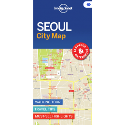 Lonely Planet Soul city map