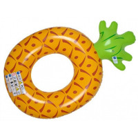 Swimming Inflatables and Toys
